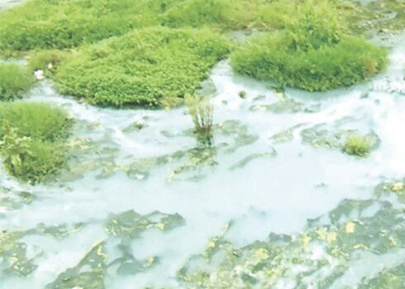 岳陽河黑臭治理案例